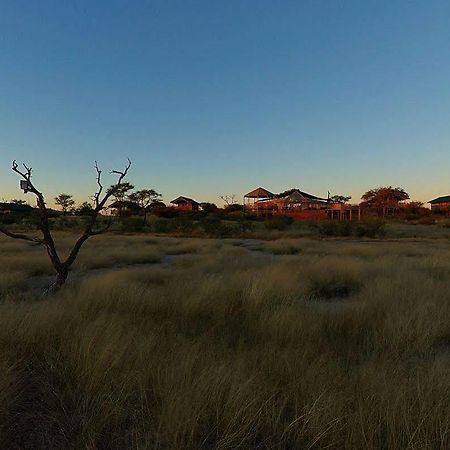 Suricate Tented Lodge Мариенталь Экстерьер фото