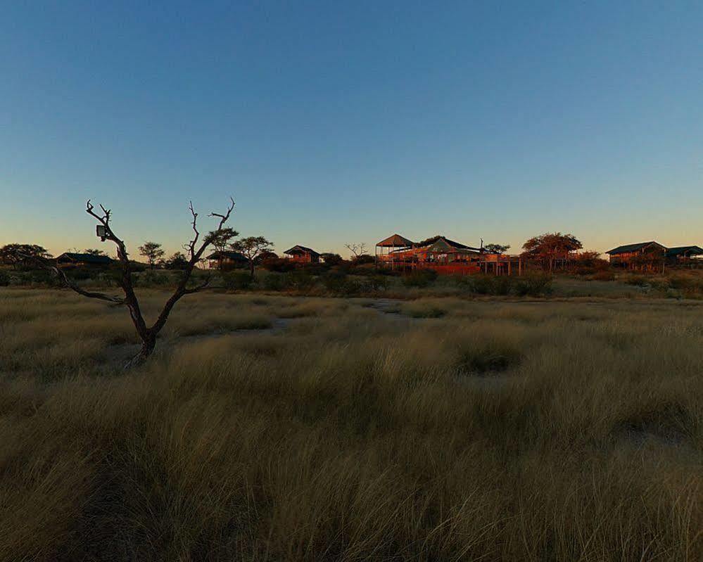 Suricate Tented Lodge Мариенталь Экстерьер фото